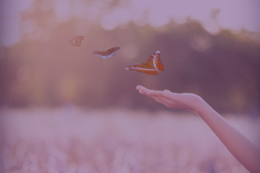 Transformation und emotionale Freiheit – Symbolbild aus dem Onlinekurs zur Heilung nach toxischen Beziehungen und Kindheitstrauma.